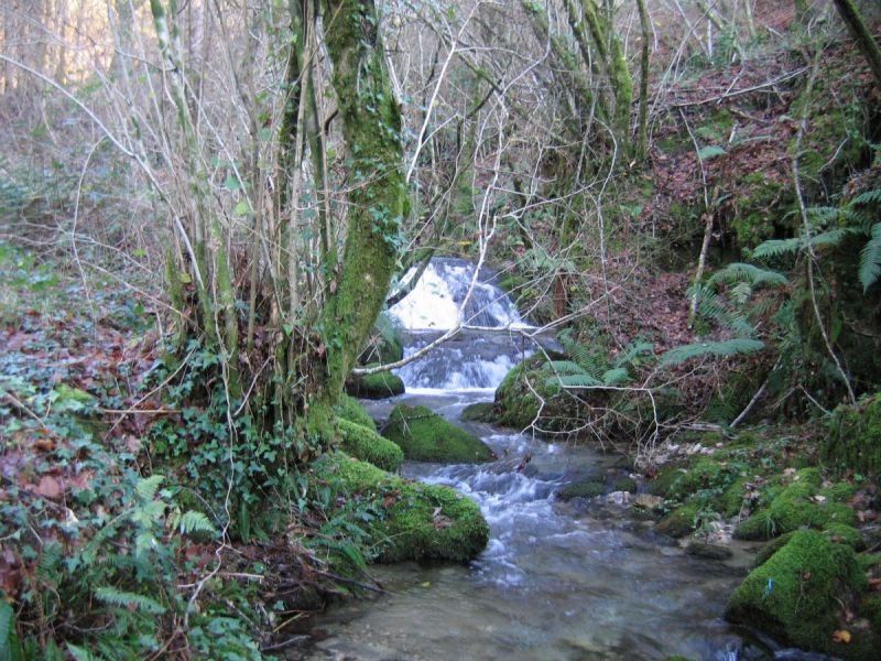 River-Valley-View